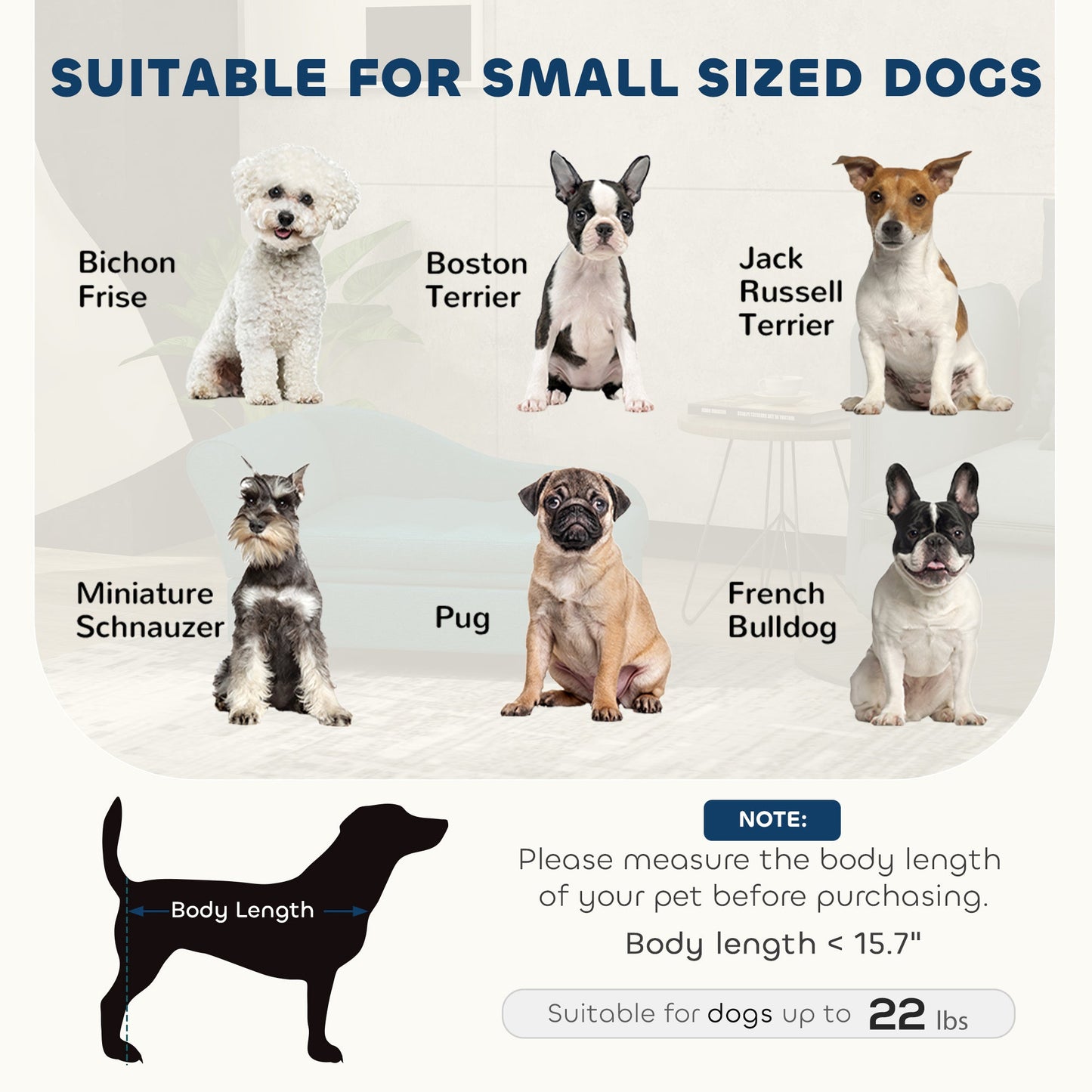 Pet Sofa Bed Couch with Storage, Pet Sofa for Cats and Small Dogs,