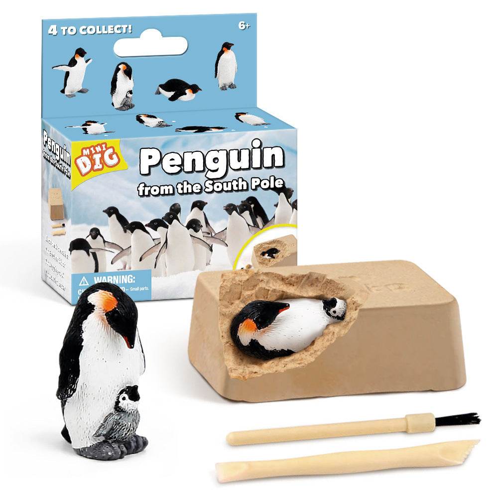 Kids Educational Exploration Toy