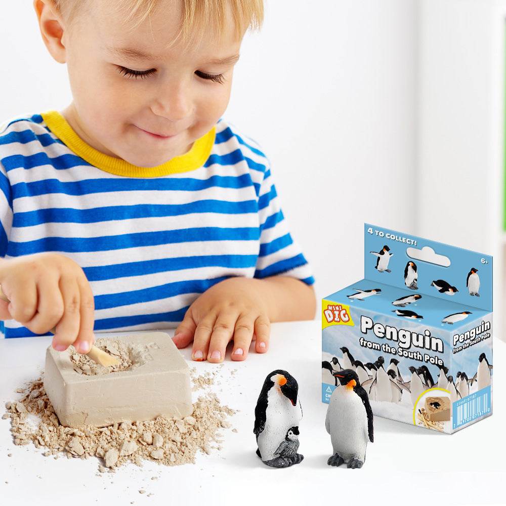 Kids Educational Exploration Toy
