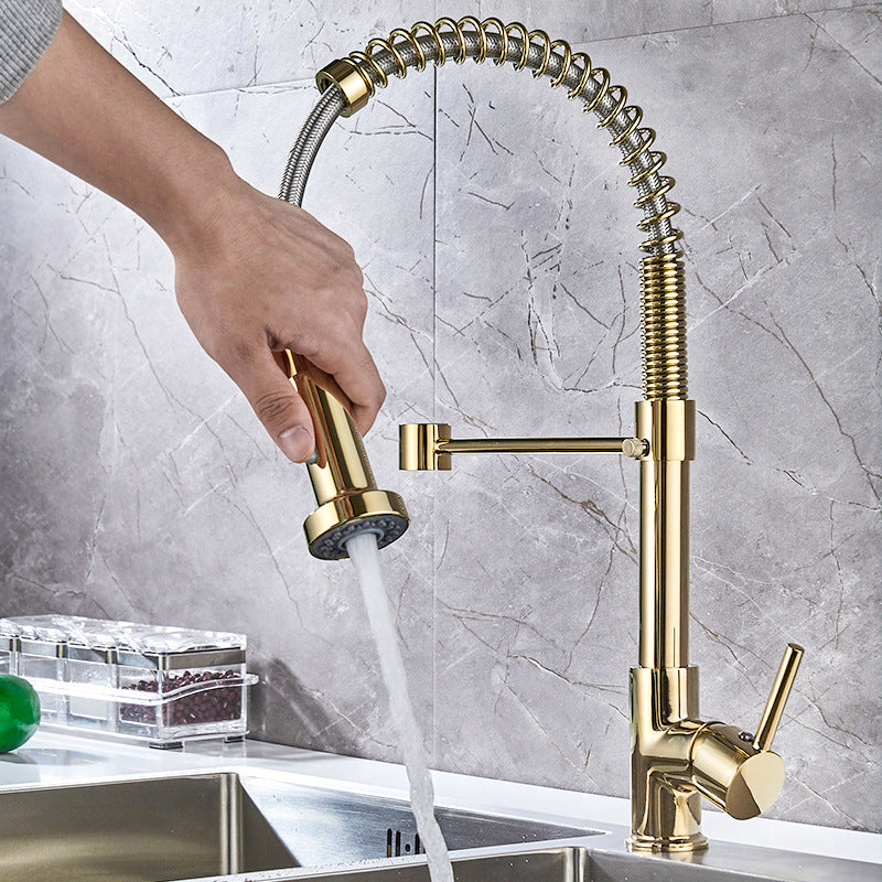 DANWEILE Brass Spring Kitchen Faucet with Pull-Down Spray