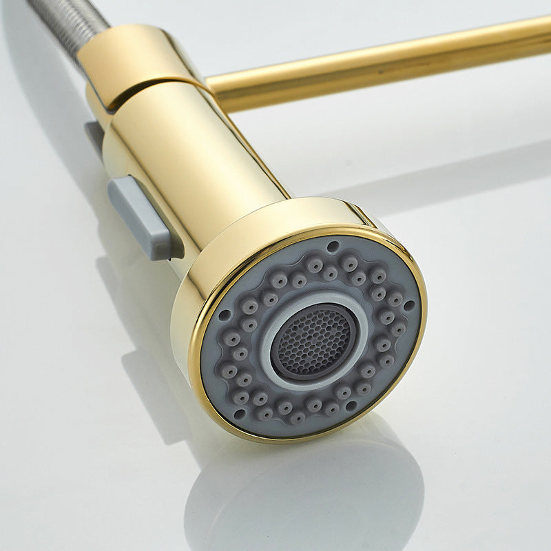 DANWEILE Brass Spring Kitchen Faucet with Pull-Down Spray