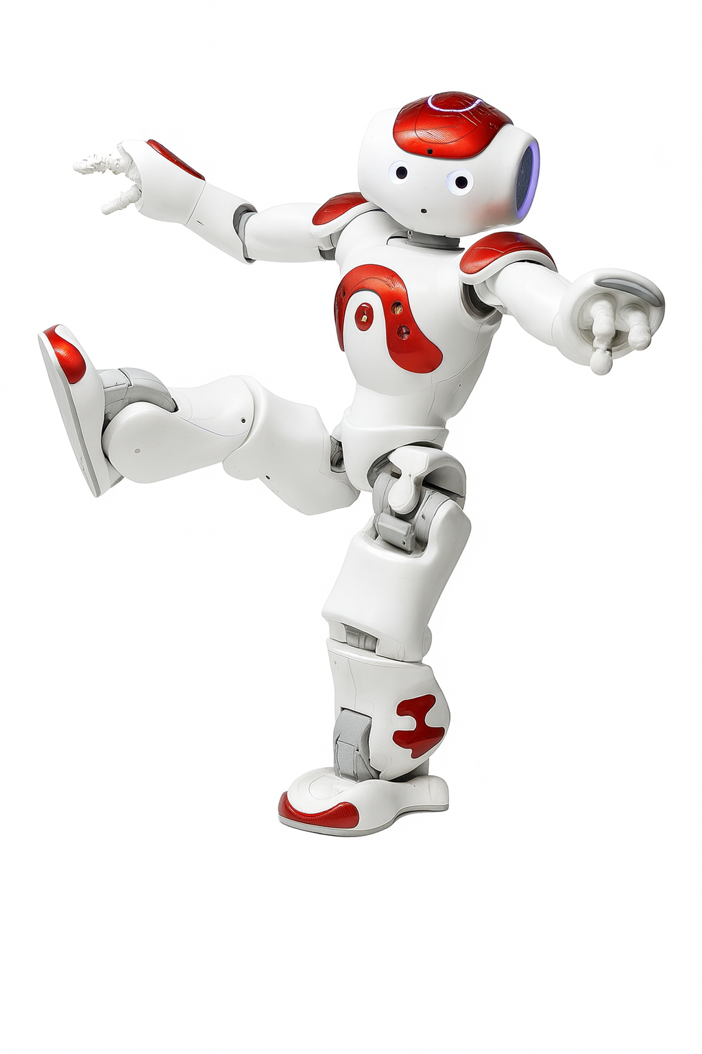 Advanced Humanoid AI Companion Robot for Adults with Multi-Sensory Interaction and Global Communication