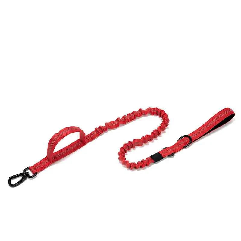 Durable Nylon Dog Collar with Reflective Leash Set