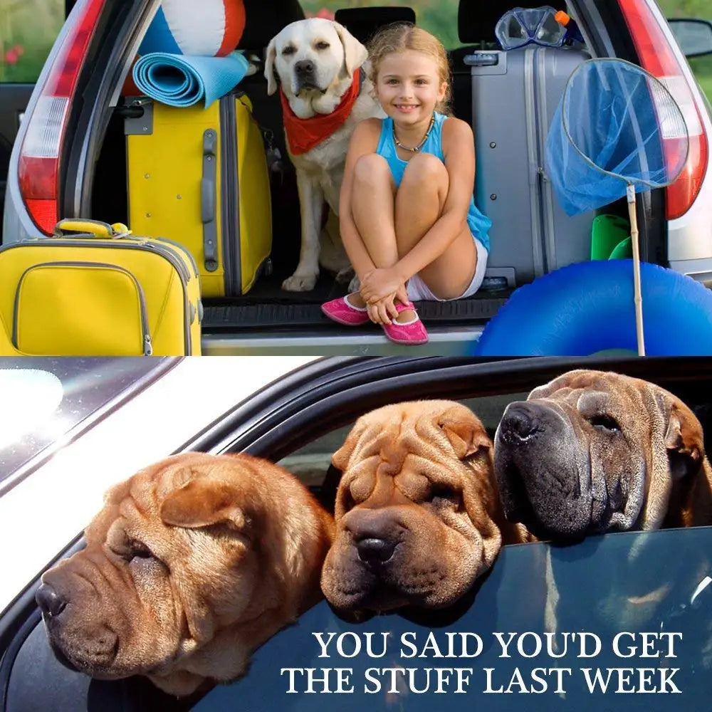 Adjustable Nylon Dog Car Seat Belt Safety Strap