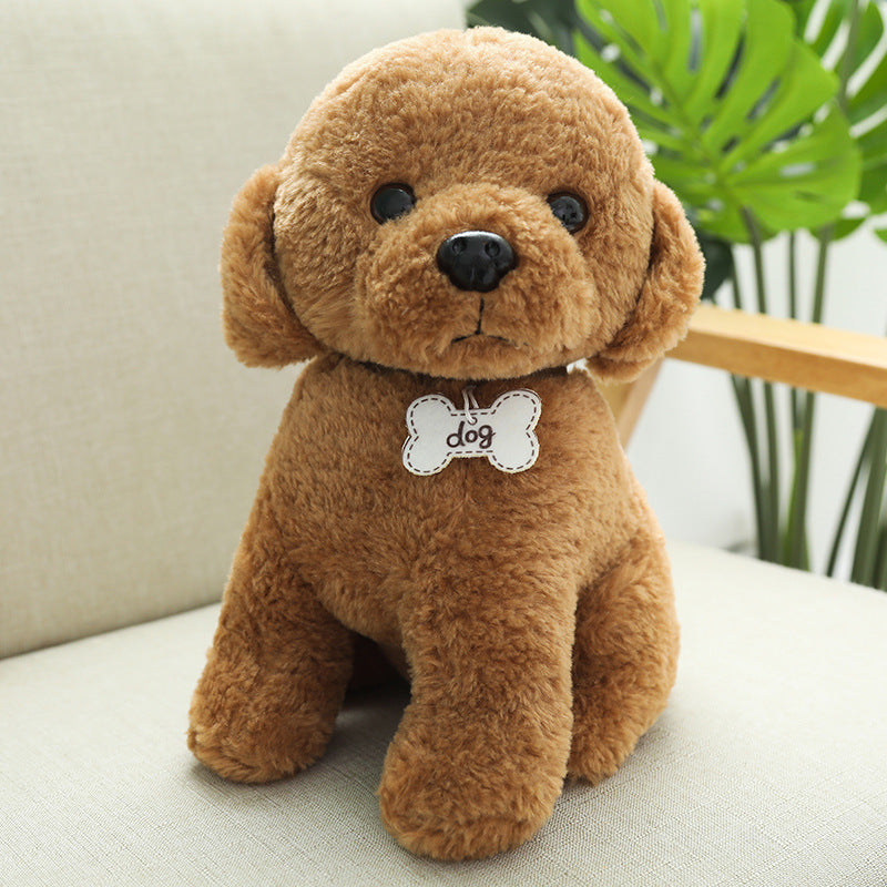 Nari Doll Ragdoll Children's Birthday Gift