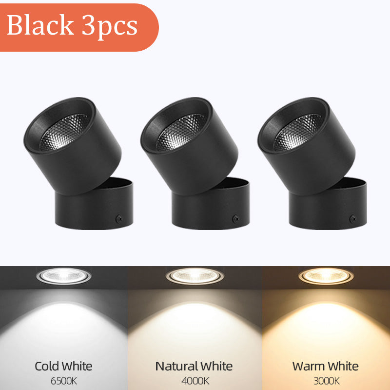LED Downlight Spotlights Are Open Mounted And Foldable
